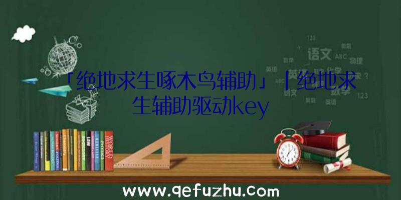 「绝地求生啄木鸟辅助」|绝地求生辅助驱动key